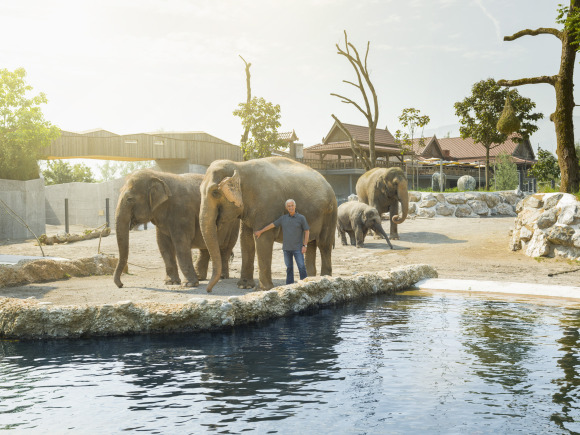 Elefanten am Wasser im Knies Kinderzoo