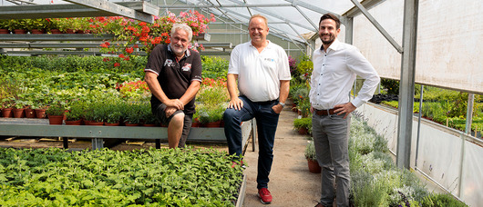 Solution biomasse durable avec granulés de bois pour une jardinerie